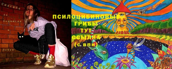 кокаин колумбия Ельня