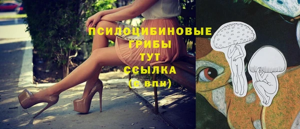 спиды Елабуга